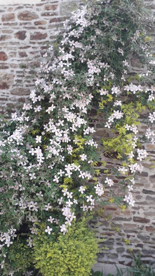 Gite Au Pre Du Mont St Michel Villa Villiers-le-Pré Dış mekan fotoğraf